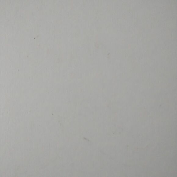 Chloe Empty Shoe Box White Spell Out Logo Used Authentic 11.5x7x5" *READ - Picture 13 of 16